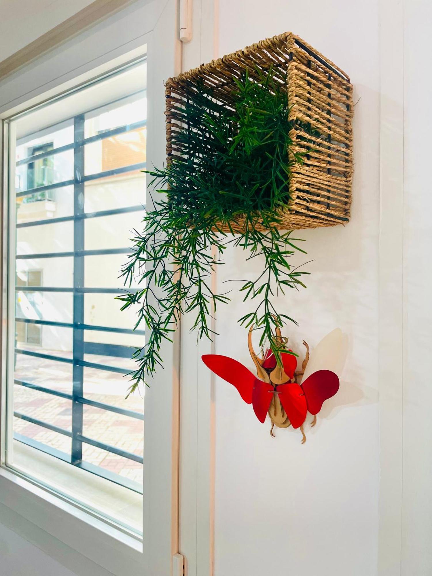 Completo Y Bello Apartamento En مالقة المظهر الخارجي الصورة